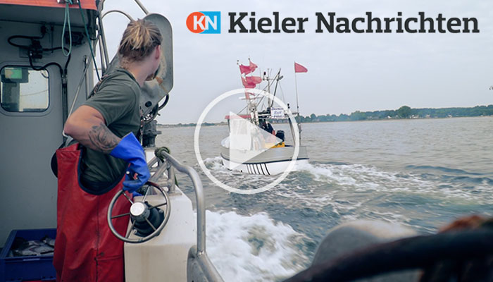 Martel Media - KN Kieler Nachrichten